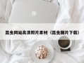 东至昆虫网站高清照片素材（昆虫图片下载）